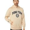 Hoodies & Sweatshirts * | Puma Team Fleece Hoodie